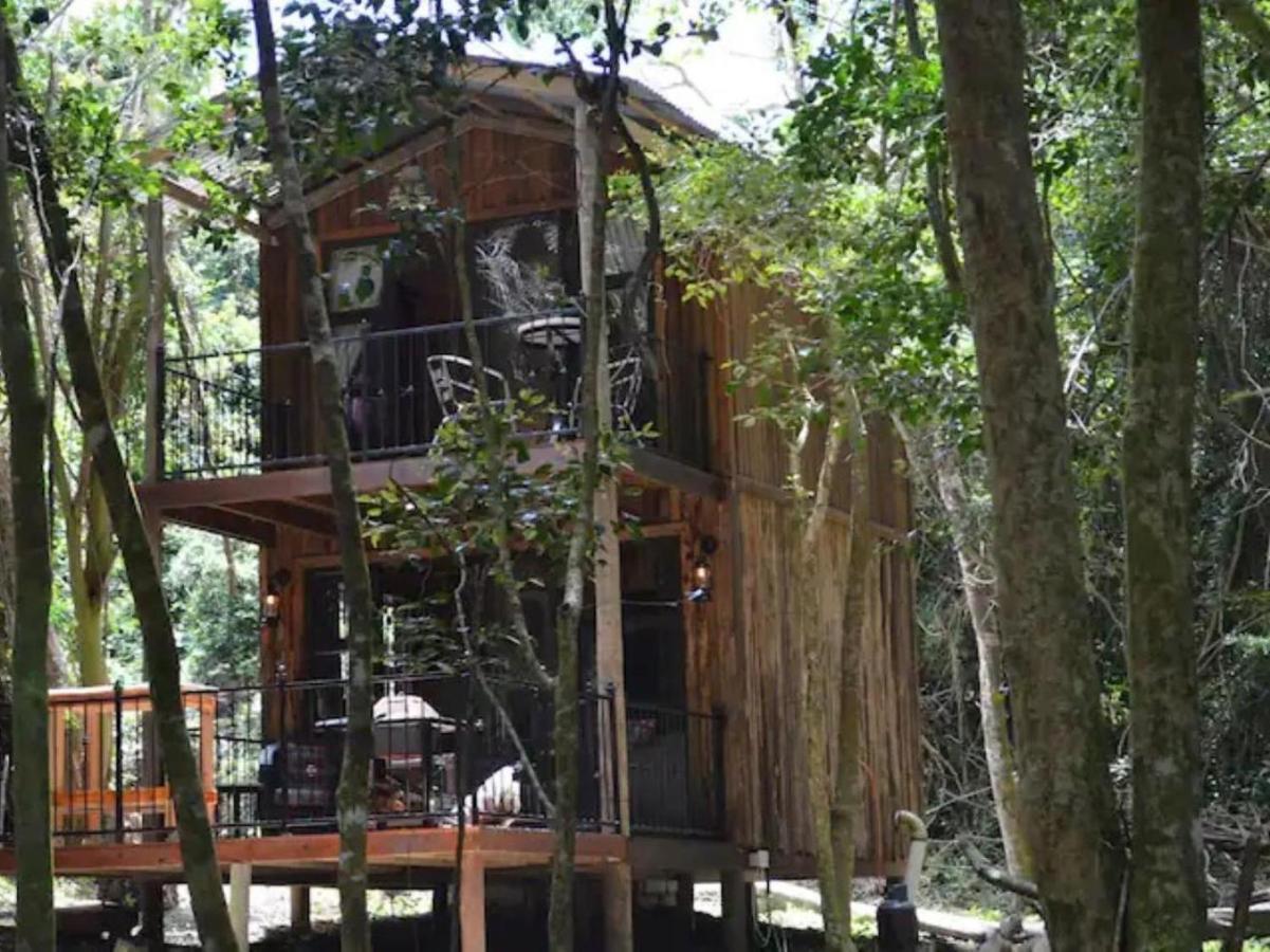 Вилла Shabby Fufu Lifestyle Farm Плеттенберг-Бей Экстерьер фото