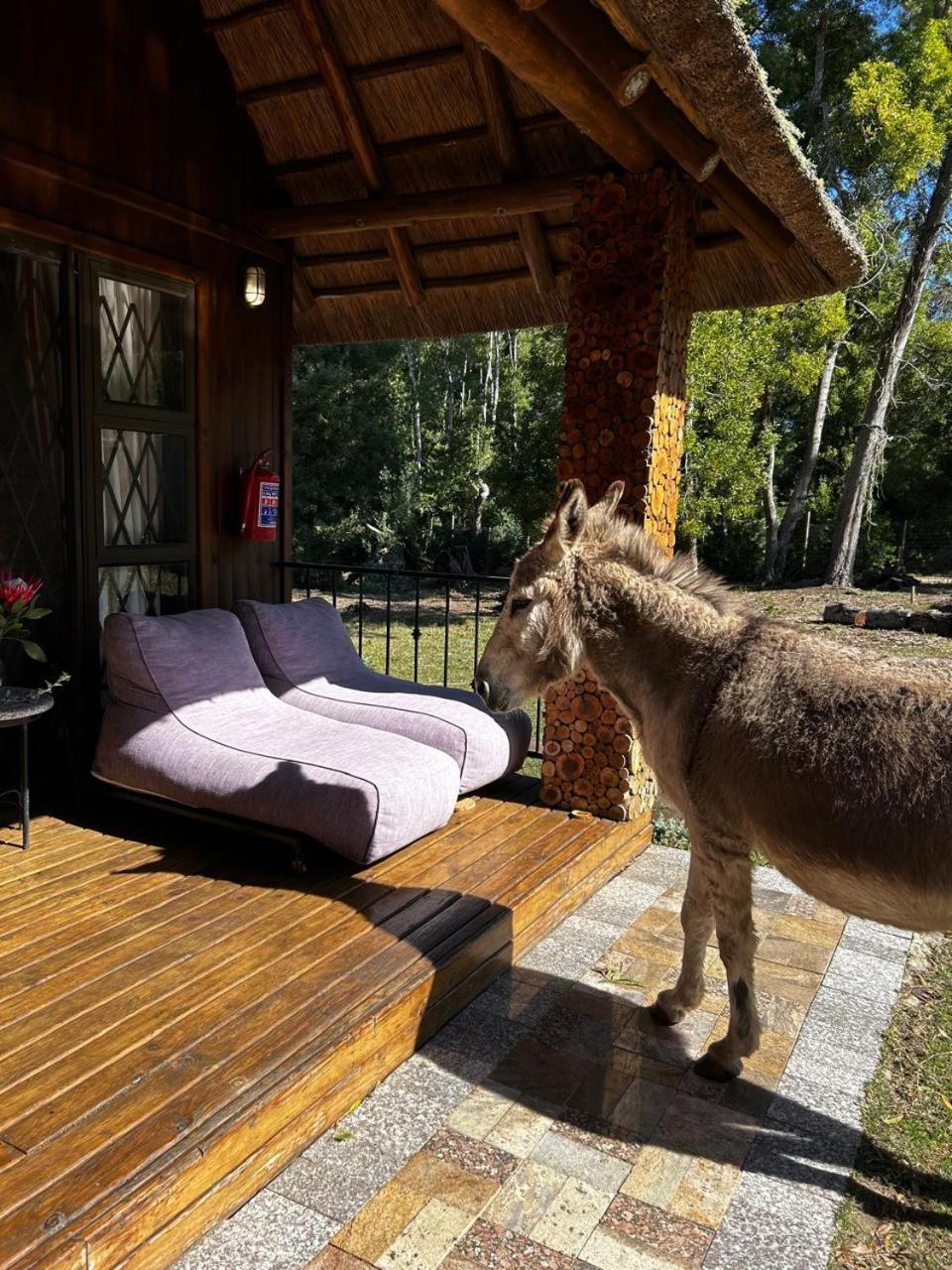 Вилла Shabby Fufu Lifestyle Farm Плеттенберг-Бей Экстерьер фото